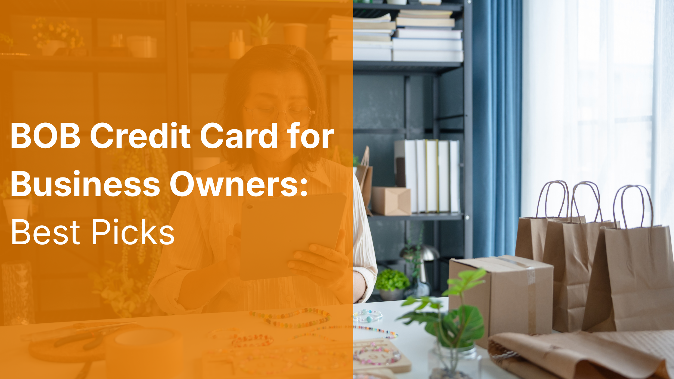 BOB Credit Cards for Business Owners: Best Picks
