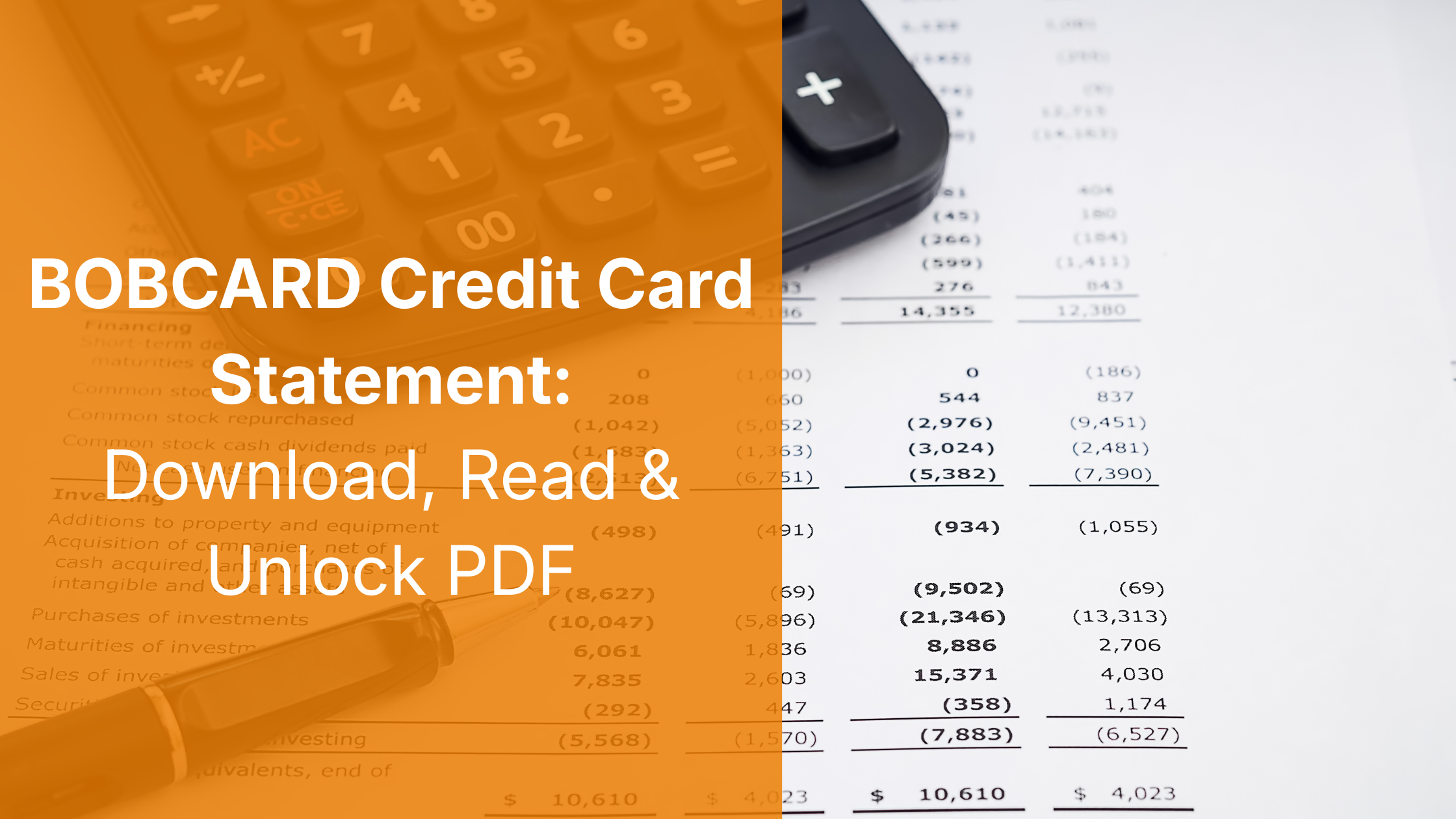 BOBCARD Statement: Download, Read & Unlock PDF