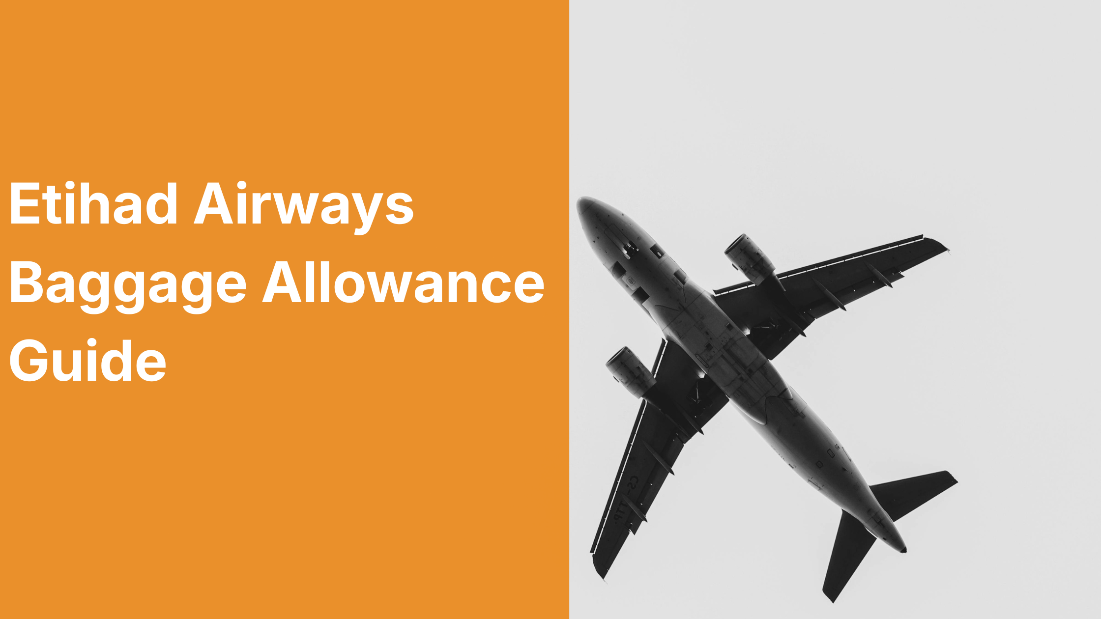 Etihad Airways Baggage Allowance Guide