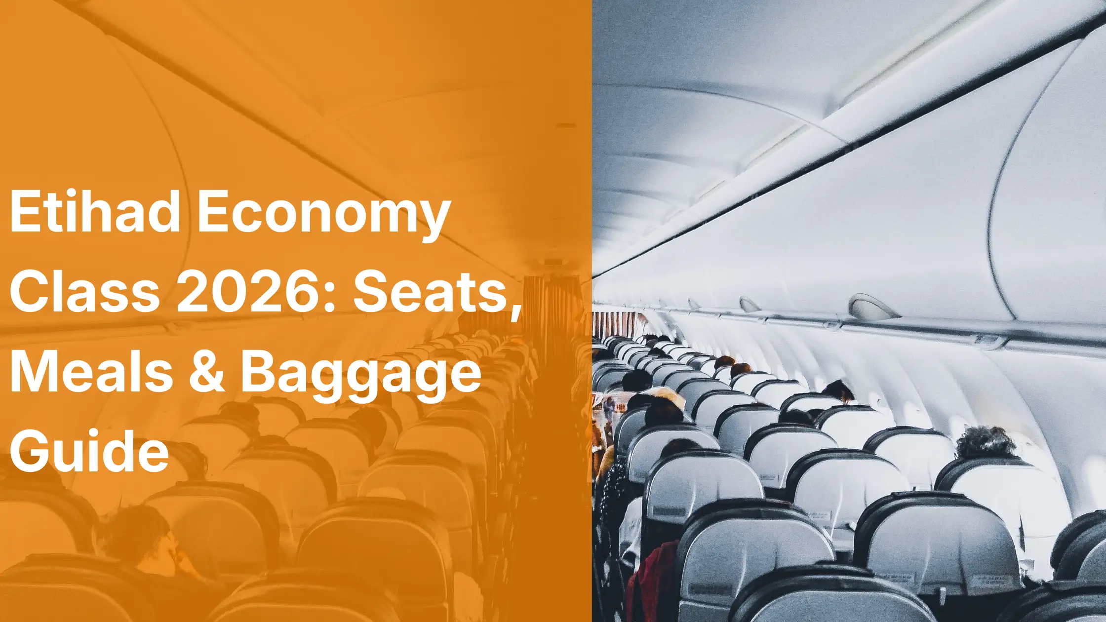 Etihad Economy Class 2026: Seats, Meals & Baggage Guide